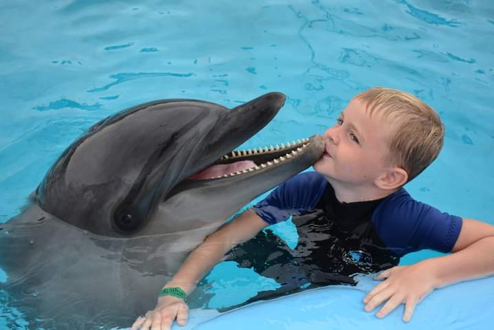 Photo Session Dolphin Swim 