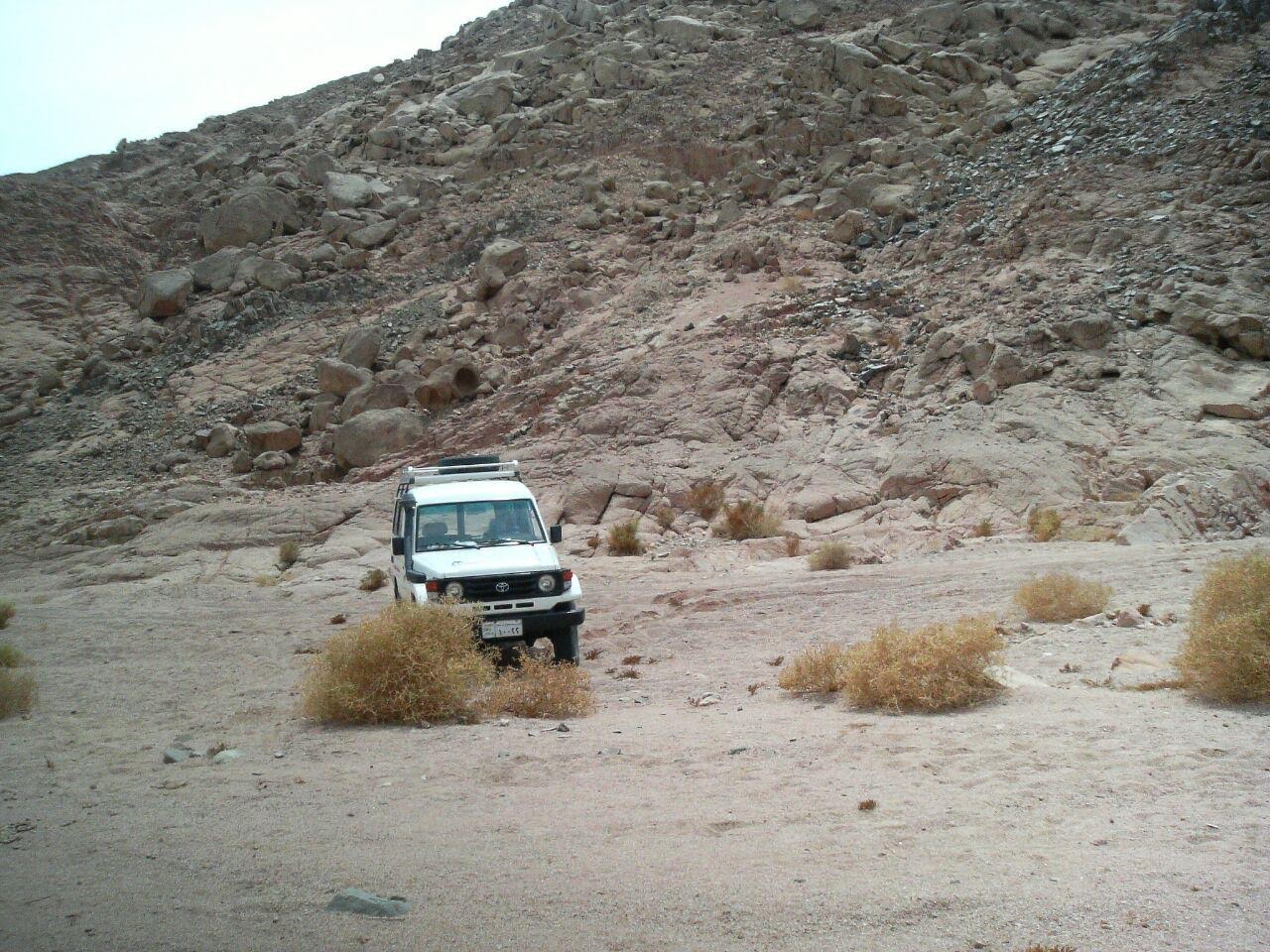 Private Badawya Jeep 